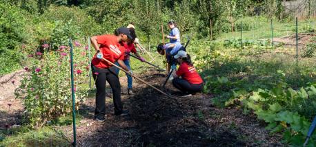 Papa Johns team members volunteering with Concrete Jungle